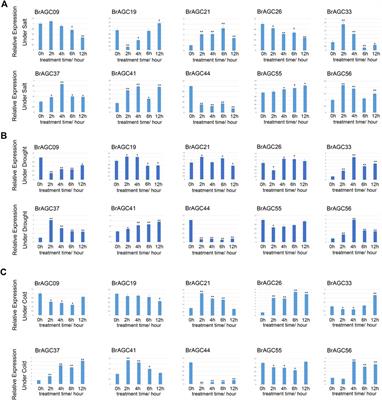 Genome-wide identification and expression analysis of BrAGC genes in Brassica rapa reveal their potential roles in sexual reproduction and abiotic stress tolerance